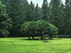 -五泄景区