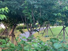 -福建鲤鱼洲酒店