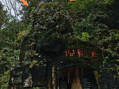 -金狮洞国家地质公园