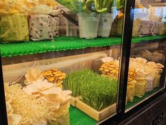 -烹然四季椰子鸡火锅(团结湖总店)