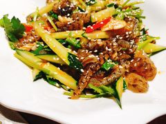 -千岛蚝高压锅生蚝·人参火锅(白云万达店)