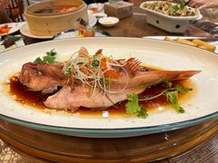 -龙悦湾酒家·八阵鱼生·渔人码头店