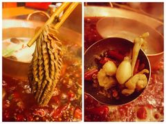 -老码头火锅(玉林店)