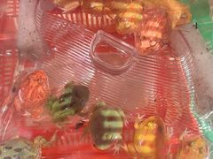 -姑苏二十四集(iD PARK 歌林公园店)