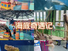 -海合安武汉极地海洋公园