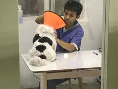 -伟伟宠物医院·CT影像中心·瑞派犬猫综合性门诊(汉口总院)