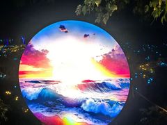 -亚心花海主题乐园
