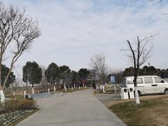 -南通鲜花小镇