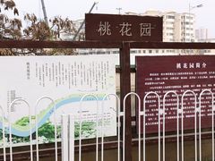 -桃花堤公园