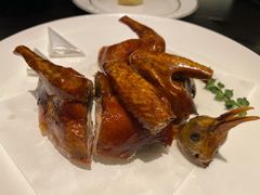 玻璃乳鸽-甄御•海鲜新青岛菜(麦岛店)