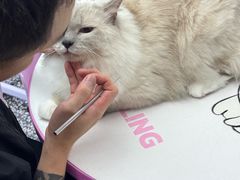 -FAELING PETS美天灵宠物(富力广场店)