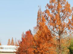 -T80科技文化国际社区-停车场