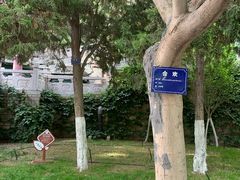 -白塔山公园