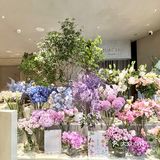 在花丛中吃一顿西餐是什么体验 恒隆五楼新开的西餐厅环