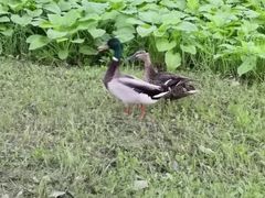 -中家鑫园温泉酒店鑫悦汤泉