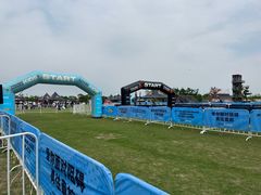 -春花秋色城市公园