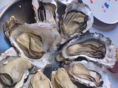 -蚝堡海鲜·威海菜·海肠捞饭·烧烤·亚洲吃蚝公司(幸福门店)