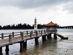 -东郊椰林
