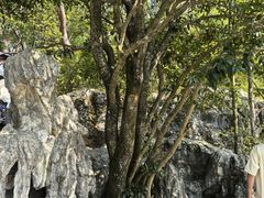 -千岛湖东南湖区