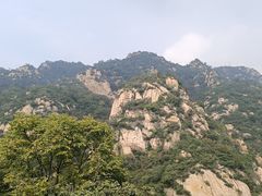 -大岭沟猕猴桃谷风景区