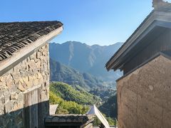 -杨家堂村