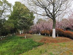 -杏花村文化旅游区