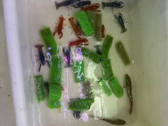 -三旗百汇商品城