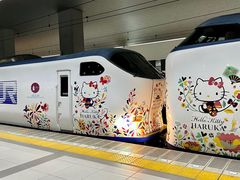 -关西机场 JR ticket office(Kansai Airport)