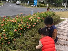 -河源万绿湖美思威尔顿酒店