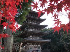 -醍醐寺