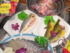 -邵年鸽(杨庄店)