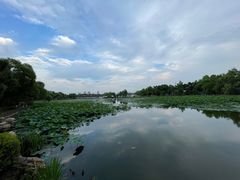 -长春市南湖公园