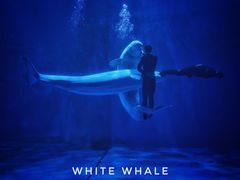 -多彩贵州城极地海洋世界