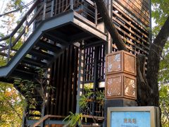-翠湖国家城市湿地公园