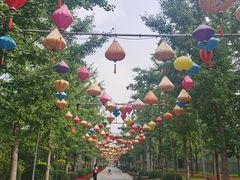 -南宫五洲植物乐园