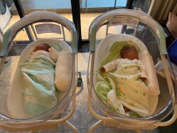 -禧月荟S月子中心(侨城店)