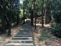 -火炉山森林公园