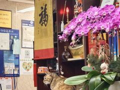 -协和菜馆(凤凰街店)