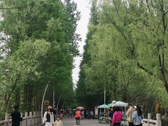 -日照海滨国家森林公园