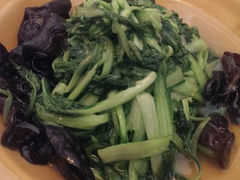 野生木耳炒鸡毛菜-深山老屋(张江店)