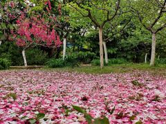 -大连植物园