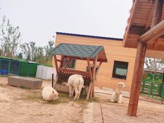 -太原动物园