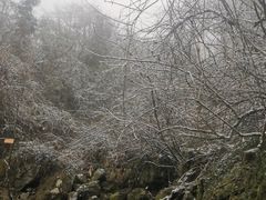 -九峰山