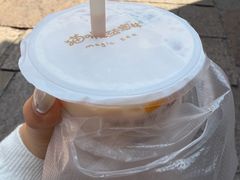 -猫的魔法密林(衣裳街店)