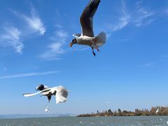 -捞渔河湿地公园