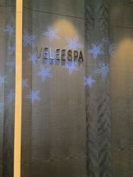 -VELEE·SPA高定疗愈会所