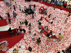 -深圳龙华星河COCO City(民治店)