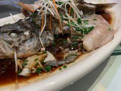 -解家河南菜(北环路店)