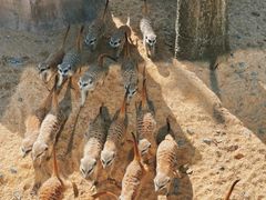 -茅山东方盐湖城景区