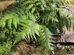 -徐家汇源景区-衡山公园